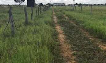 Imagem 4: Terreno no Angelim