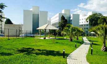 Imagem 6: Alugo apartamento no bairro pinheirinho