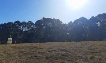 Imagem 4: ?Vende-se terreno perfeito para área de lazer?<br><br>