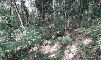 Imagem 5: Lote em condomínio de Macacos/Nova Lima