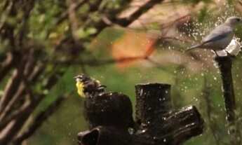 Imagem 3: Terreno para venda possui 700000 metros quadrados em Taíba - São Gonçalo do Amarante - CE