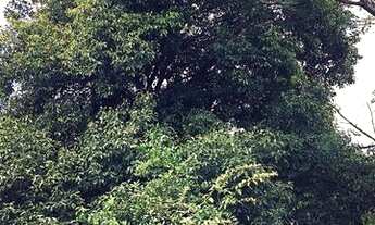 Imagem 4: Terreno para VENDA