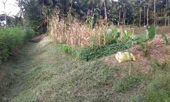 Imagem 3: Casa com terreno grande