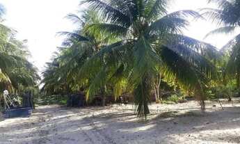 Imagem 7: Fazenda Fazenda / sítio com venda por R$600.000