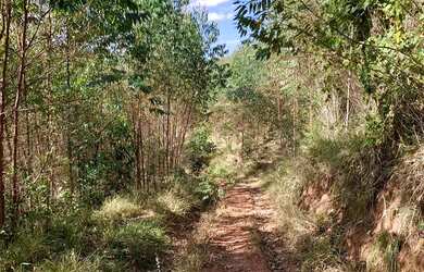 Imagem 3: TERRENOS DE 1.000M² EM EMPREENDIMENTO FECHADO - IGARATÁ