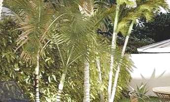 Imagem 5: Cidade Alpha casa de condomínio com 4 quartos em Eusébio - CE