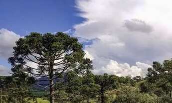 Imagem: Terreno 4mil metros quadrado