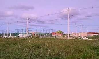 Imagem 2: Vendo lote 8x20 em Coruripe