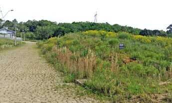 Imagem: CAXIAS DO SUL - Terreno Padrão - MONTE