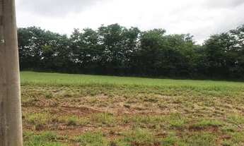 Imagem 5: Terreno ninho verde 1