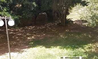 Imagem 5: APARTAMENTO 2 DORMITORIOS NA LOMBA DO PINHEIRO