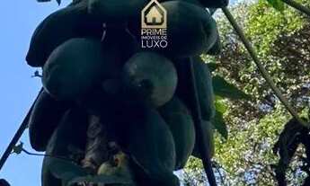 Imagem 7: Venda Casa com 2 dormitórios