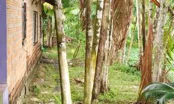 Imagem 5: VENDO ESSE SITIO EM CAPANEMA 82 MTS FRENTE,216 LAT.DIR, 211 LAT,ESQ,58 FUNDO