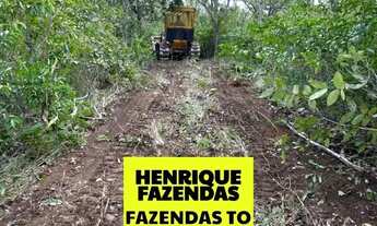 Imagem 2: Fazenda a venda Lagoa do Tocantins 118 alqueires