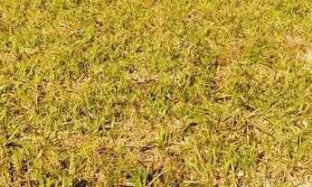 Imagem 4: Vendo ágil de lote em Senador Canedo Top do Parque