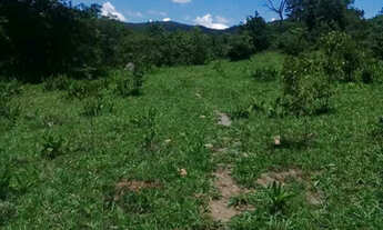 Imagem 4: Vende se fazenda 140 alqueires em Goiás velho