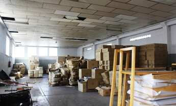 Imagem 5: Galpão para aluguel, Vila Ribeiro de Barros - São Paulo/SP