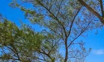 Imagem: Arraial do Cabo - Subuai - Praia do Pontal