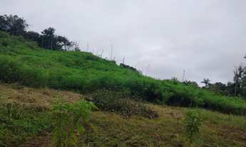 Imagem 2: Chácara 30 km Araguacema