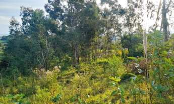 Imagem 5: LINDA CHÁCARA EM SANTO ANTÔNIO DA PATRULHA, RS
