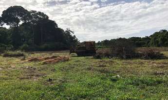 Imagem: Fazenda para plantação