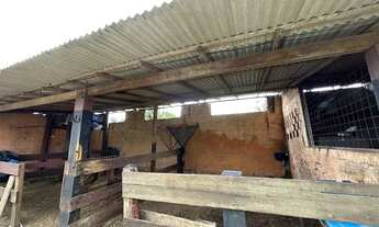 Imagem 3: VENDO SÍTIO LOCALIZADO EM SÃO JOSÉ DE RIBAMAR COM 2 QUARTOS