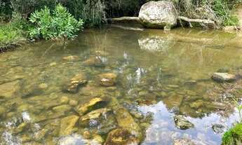 Imagem 5: Sítio de Cinema! Com lindo rio, pasto e pronto para construir!