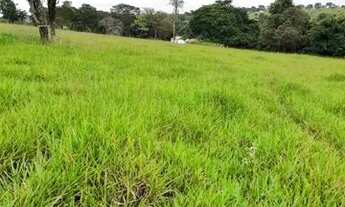 Imagem 3: Chácara em Iporá-GO ! 2.9 Alqueires ! Mega Oferta de Mercado