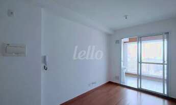 Imagem 5: São Paulo - Apartamento Padrão - Cambuci