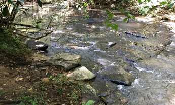 Imagem 7: 3 alqueires 350.000 o alqueire de terra