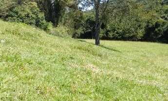 Imagem 3: Chácara em Aragoiania