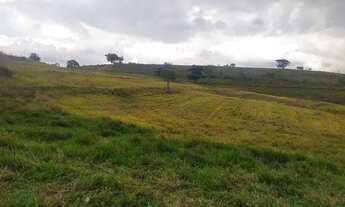 Imagem 6: Fazenda 75 alqueires região de Cassia dos Coqueiros - Don