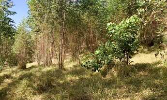 Imagem: TERRENOS DE 1.000M² LOCALIZADO EM IGARATÁ-SP