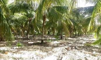 Imagem 2: Fazenda Fazenda / sítio com venda por R$600.000