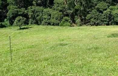 Imagem 7: Ml - Vendo terreno com ótima negociação