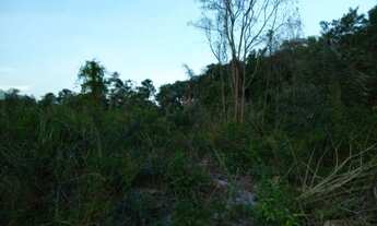 Imagem 4: Terreno 23 hectares