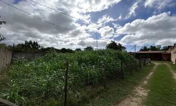 Imagem 2: VENDO SÍTIO LOCALIZADO EM SÃO JOSÉ DE RIBAMAR COM 2 QUARTOS