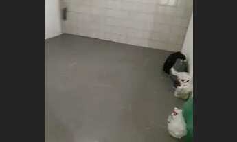 Imagem 4: Apartamento Apartamento com 2 dormitórios