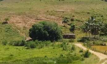 Imagem 4: Vendo Fazenda / 39 Hectares