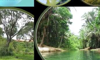 Imagem 3: Loteamento santa terezinha