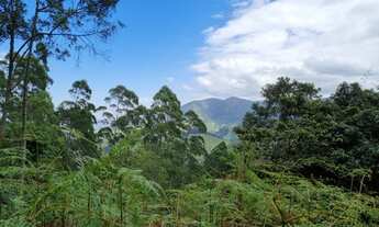 Imagem 3: Lote/Terreno para venda tem 24200 metros quadrados