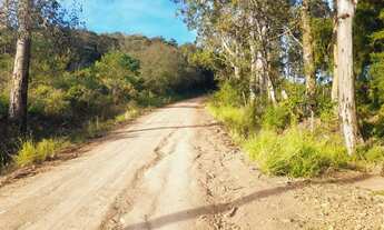 Imagem 7: LINDA CHÁCARA EM SANTO ANTÔNIO DA PATRULHA, RS