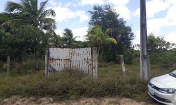 Imagem 7: Vendo troco terreno de granja 1000m da Lagoa do bom fim