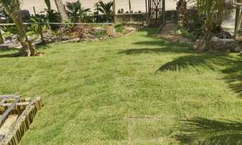 Imagem 5: Casa de condomínio para venda tem 256 metros quadrados com 4 quartos