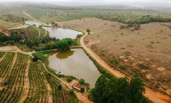 Imagem 4: Fazenda Zona Rural Nova Venécia- Córrego Da Lapa