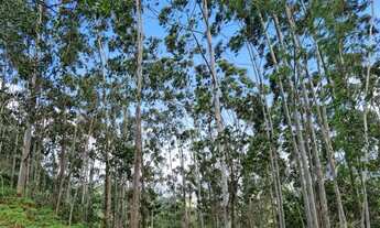 Imagem: Lote/Terreno para venda tem 24200 metros