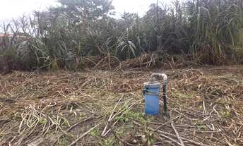 Imagem 3: Sítio Pindoretama com grande estrutura - financia bnb