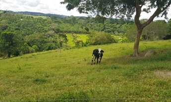 Imagem 4: Vendo terreno 18.73 tarefas em Mutuípe