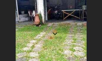 Imagem 6: Casa com 2 dormitórios à venda, 166 m² por R$ 479.000,00 - Forquilhinhas - São José/SC