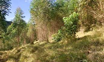 Imagem 4: Terreno em igarata c/ acesso a riacho